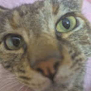 Meet your Posher, Grace